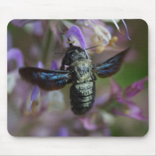 Xylocopa iris mouse pad