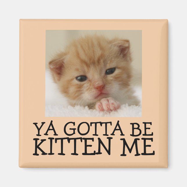 Ya Goa be Kitten me, Funny Cat Magnets (Front)