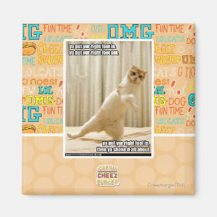 Ya put yur right foot in, ya put yur right foot ou magnet