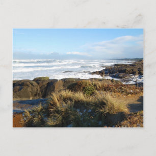 Yachats, Oregon Postcard