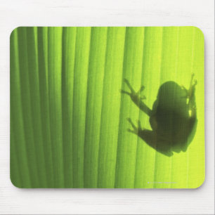 Yachiyo, Chiba Prefecture, Japan 2 Mouse Pad