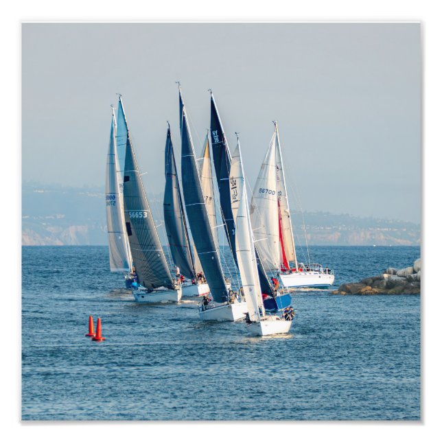 Yacht Race - Marina Del Rey, CA Photo Print (Front)