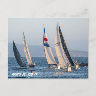 Yacht Race - Marina Del Rey, CA Postcard