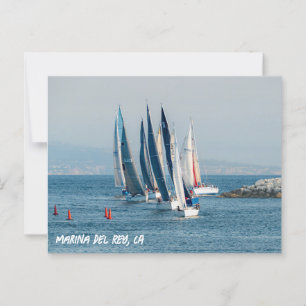 Yacht Race - Marina Del Rey, CA Postcard