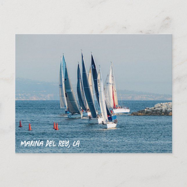 Yacht Race - Marina Del Rey, CA Postcard (Front)