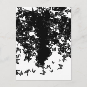 yaie black swallowtail butterfly postcard