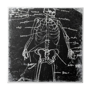 yaie tokyo human skeleton anatomy ceramic tile