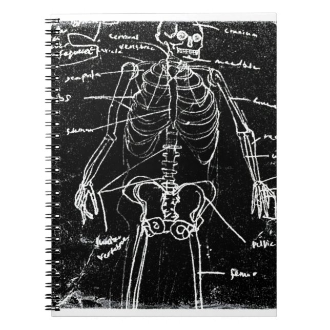 yaie tokyo human skeleton anatomy notebook (Front)