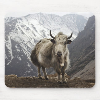 Yak in Nepal Mouse Pad