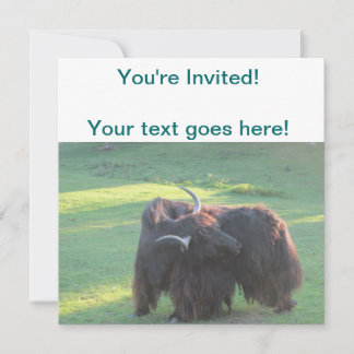 Yak Invitation