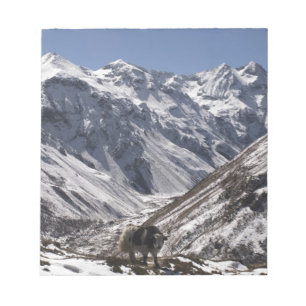 Yak near Mt. Jhomolari, Jangothang Jigme Dorji Notepad