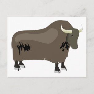 Yak Postcard