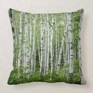 Yakumo-mura, Nagano Prefecture, Central Honshu Cushion