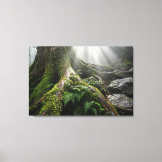 Yakushima Moss Forest 'Breath of Life' | Biophilic Canvas Print