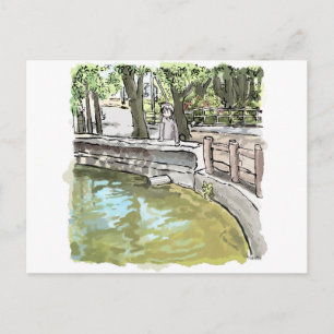 Yakuyaji Postcard