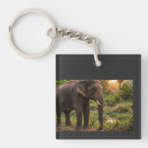 Yala National Park Elephant Mug - Sri Lanka Wildli Key Ring