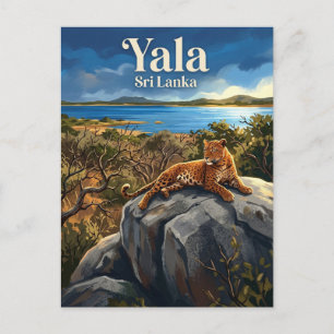 Yala National Park Sri Lanka Postcard