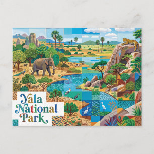 Yala National Park Sri Lanka Postcard