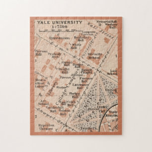 Yale University Map 11x14  Jigsaw Puzzle