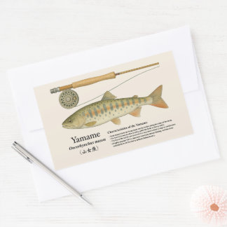 Yamame (Oncorhynchus masou) – English Illust Rectangular Sticker
