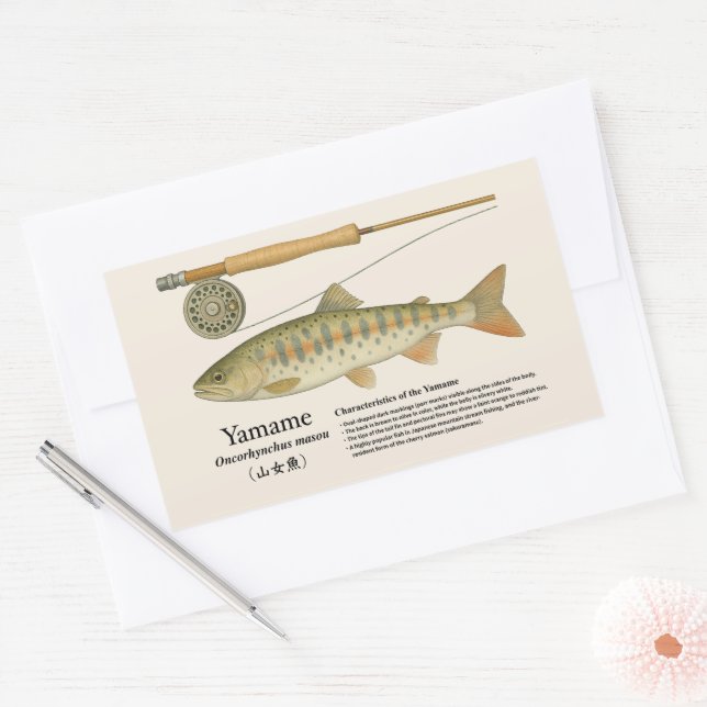 Yamame (Oncorhynchus masou) – English Illust Rectangular Sticker (Envelope)