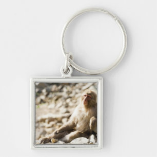 Yamanouchi, Chubu, Nagano Prefecture, Japan 2 Key Ring