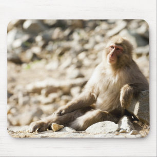 Yamanouchi, Chubu, Nagano Prefecture, Japan 2 Mouse Pad