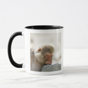 Yamanouchi, Chubu, Nagano Prefecture, Japan Mug