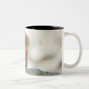 Yamanouchi, Chubu, Nagano Prefecture, Japan Two-Tone Coffee Mug