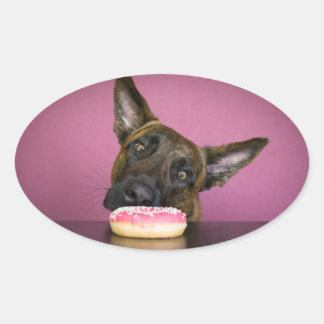Yamm Yamm- I want to have this donut Oval Sticker