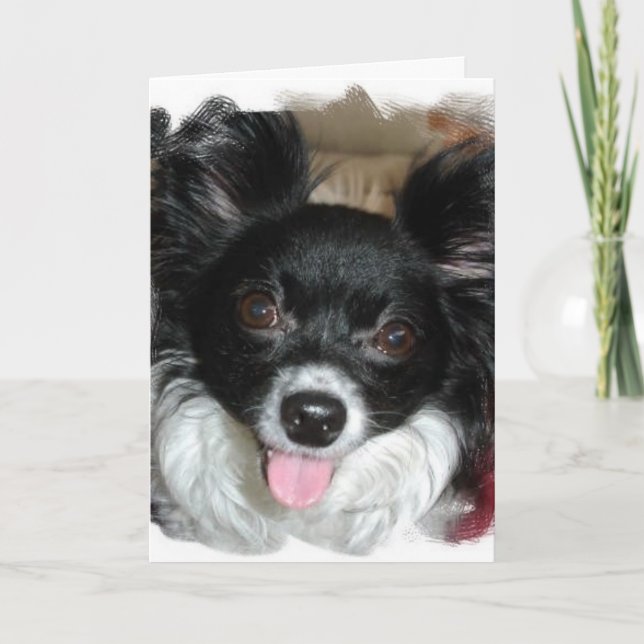 Yappy Birthday Card (Front)