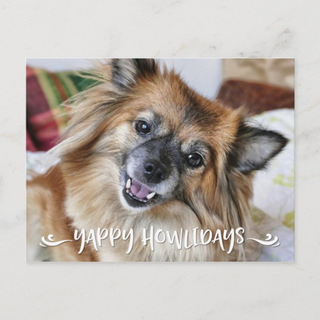 YAPPY HOWLIDAYS | Funny Dog Photo Holiday Postcard (Front)