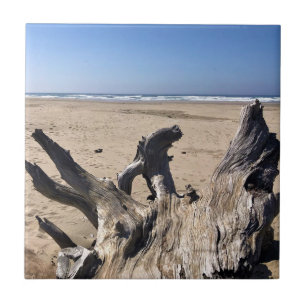 Yaquina Bay State Recreation Site, Newport, Oregon Ceramic Tile