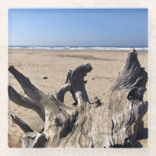 Yaquina Bay State Recreation Site, Newport, Oregon Glass Coaster