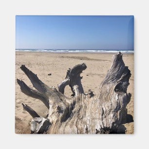 Yaquina Bay State Recreation Site, Newport, Oregon Magnet