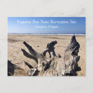 Yaquina Bay State Recreation Site, Newport, Oregon Postcard