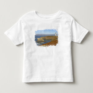 Yaquina Head Lighthouse at Newport Oregon Toddler T-Shirt