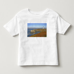 Yaquina Head Lighthouse at Newport Oregon Toddler T-Shirt