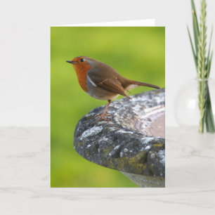 Yard Boss Greeting Card