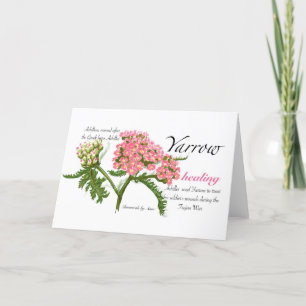 Yarrow Blank Card