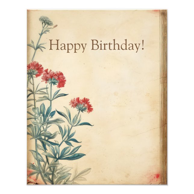 Yarrow flower illustration ephemera photo print (Front)