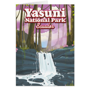 Yasuni National Park Ecuador
