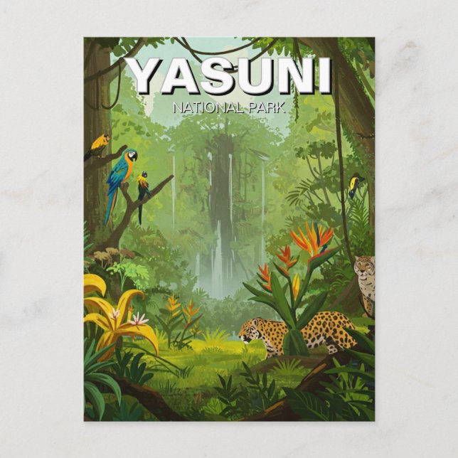 Yasuni National Park Ecuador Postcard (Front)