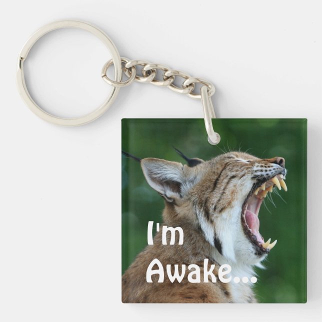 Yawning Bobcat Key Ring (Front)