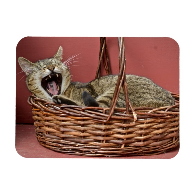 Yawning Cat Magnet (Horizontal)