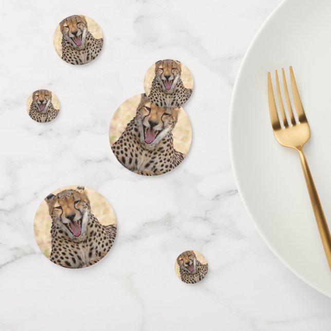 Yawning Cheetah Confetti (Group)