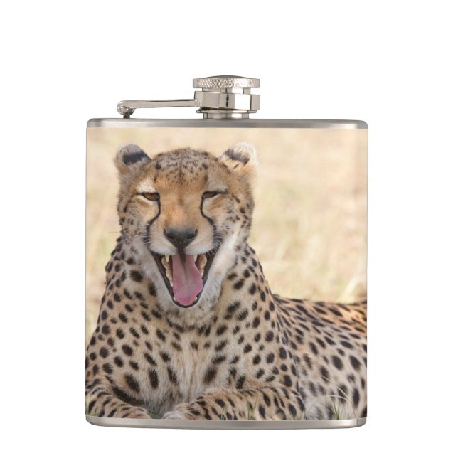 Yawning Cheetah Hip Flask (Front)