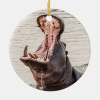 Yawning Hippo