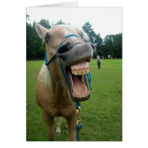 Yawning Horse
