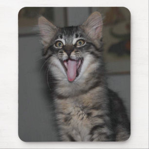 Yawning Kitten Mouse Pad